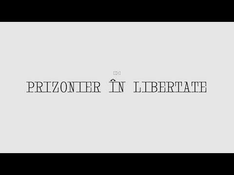 Deliric X Silent Strike - Prizonier In Libertate (Official Lyric Video)