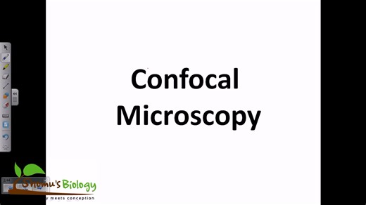 Confocal microscopy _ confocal microscope principle共聚焦显微镜原理