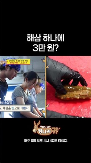 $30 for a single sea cucumber? [Boss in the Mirror] | KBS Broadcast