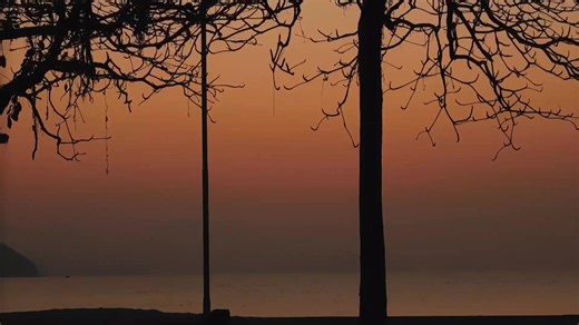 Have you ever heard people say our calendars are all wrong, that we should switch to a 13-month lunar system? It's a fascinating debate, but today, we're diving deeper. We'll explore the two great timekeepers of the sky: the solar calendar and the lunar calendar...