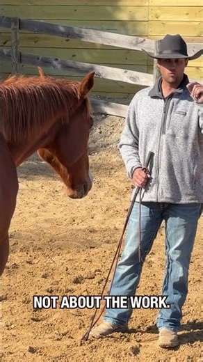 Do you have a Game Over cue for your horse? #horsetraining