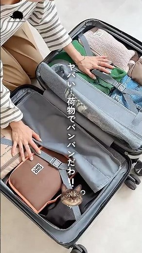 新色登場❣️容量を増やせるキャリーケース！#styleonbag #スタイルオンバッグ #ハリネズミ #スカンジナビアンフォレスト#キャリーケース #旅行 #便利 #楽天