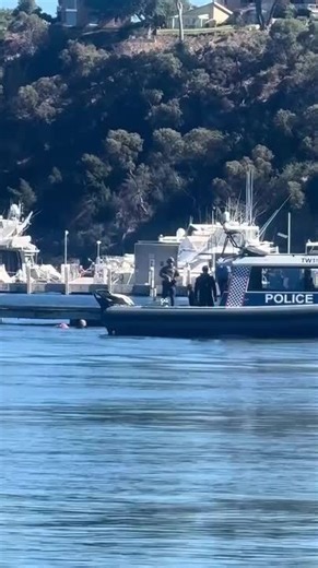 Person Drives Jeep and Tips It Into Water