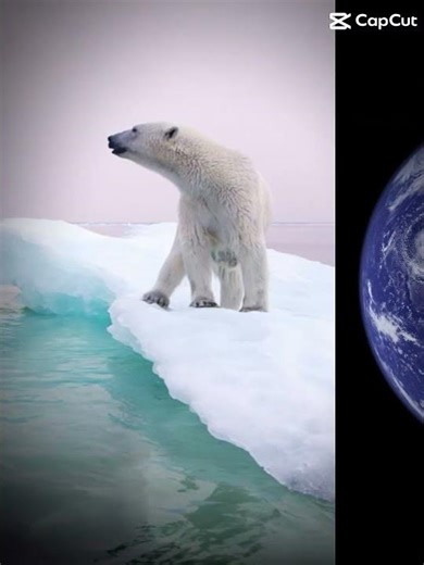 Please try to make a difference!! #global warming #22,000 polar bears #ai #savetheearth