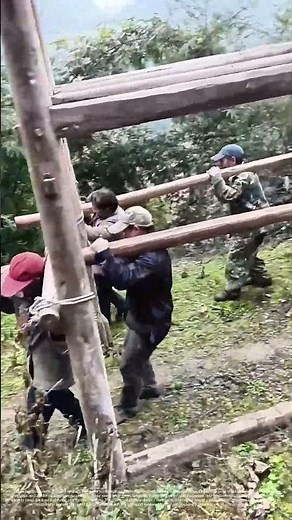 Shouldering a Structure: When a Building Walks on Human Feet