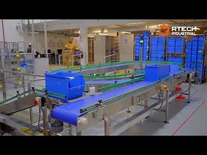 Linea de Conveyors - Transporte de bandejas