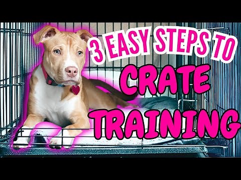 3 Easy Steps To CRATE TRAINING Your Dog or Puppy