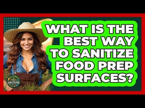 What Is The Best Way To Sanitize Food Prep Surfaces?