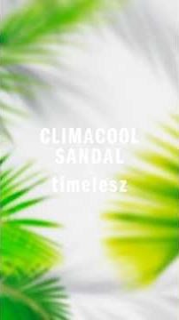 timelesz meets「CLIMACOOL SANDAL」ファーストインプレッション！