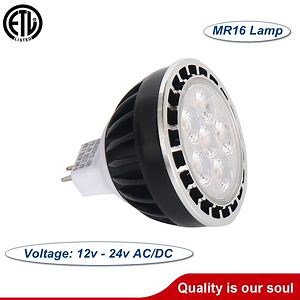 [Hot Item] LED Garden MR16 Landscape Lamp in Exterior Application