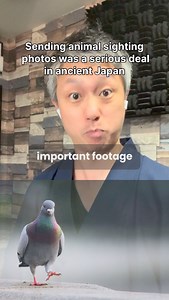 In ancient to medieval Japan (circa 800 - 1300 CE), animal sightings were thought to be omens of terrible events within the noble community…! —————— ▶︎ Hi, I’m Kyota Ko, the author of Amazon Best Sellers: —Folk Tales of Japan (book & audiobook) —Underdogs of Japanese History —Horror Tales of Japan —Love Tales of Ancient Japan Please check out my books on Amazon or my homepage ☺️: @themetroclassic https://kyotako.myportfolio.com/ #cuteanimals #animalphotos #japanesehistory #japaneseculture #onmyo