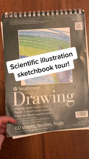 #scientificillustration sketchbook tour! #sketchbook #drawing #science #art #animals #nature