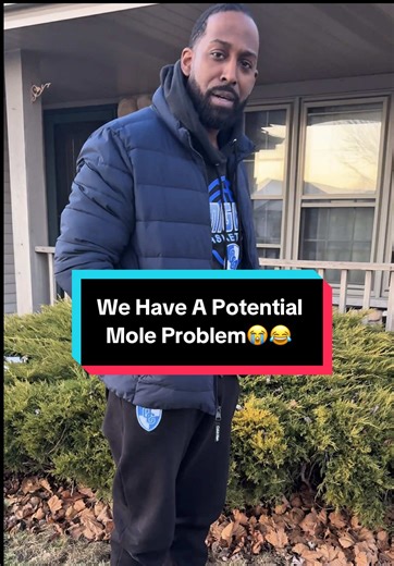 Mole Problem in the Yard Revealed