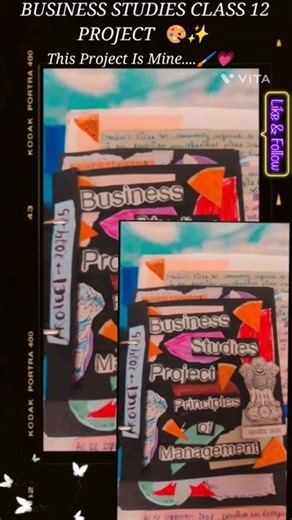 BST CLASS 12 PROJECT 💖✨ ( This Project is mine ..... ) #handmade #trending #art #diy #ytshorts