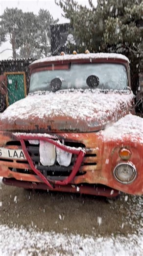 Mater from cars movie 🍿 🎥 | Pirate’s Eye