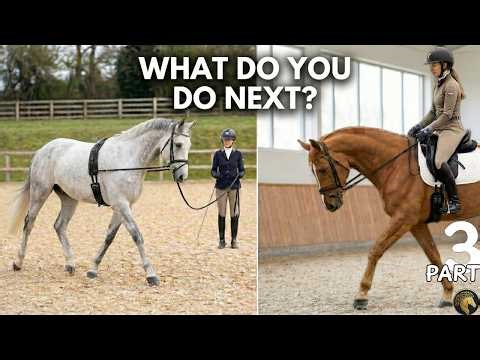 What Do You Do Next? | Correct Contact Without Forcing