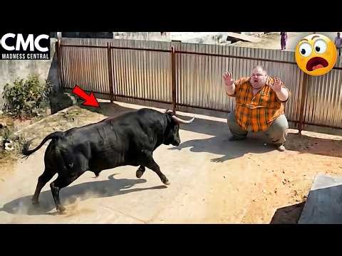 Try Not To Laugh 🤣 Top 100 Funniest Videos Ever 😂 | Funny Videos Compilation 2026 #130