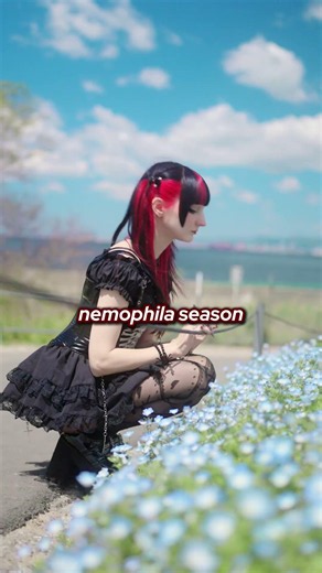POV: You made it to Japan in time for...