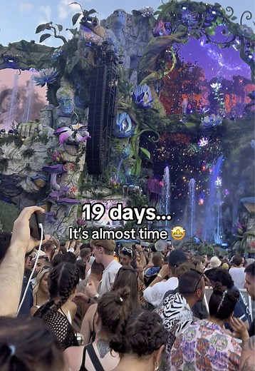 Every heartbeat, every memory… it’s all coming back. Tomorrowland is calling — and we’re almost there. 💫🎶#Tomorrowland #Countdown #Mainstage #FestivalSeason