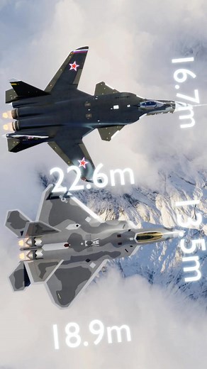 F22 VS SU47 #army #usaarmy #russianarmy #su47 #f22 #cod