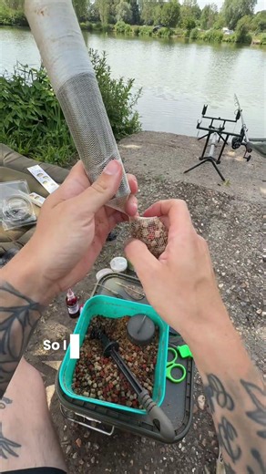 What would you’ve done? 🎣