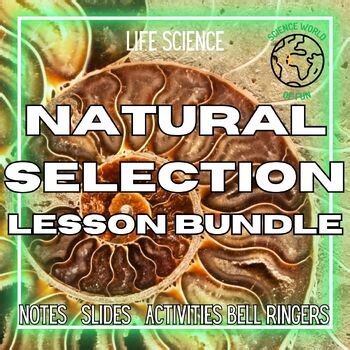 Natural Selection Lesson Bundle - 6th 7th 8th Grade Life Science Notes Slide