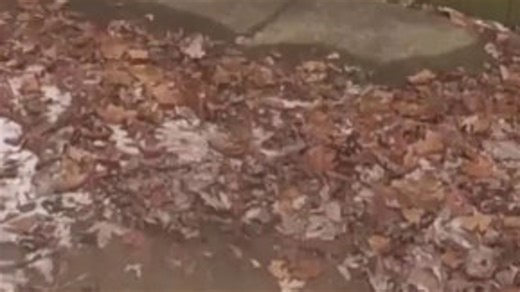 The incident happened over the weekend. | WKYC Channel 3 - Cleveland