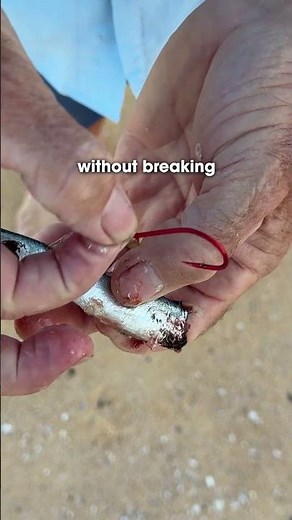 How I RIG a pilchard bait as AERODYNAMICALLY as possible!