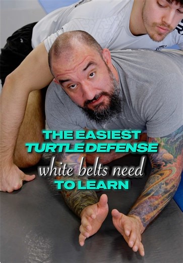 Essential Turtle Defense Techniques for White Belts