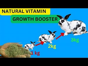 Rabbit natural booster || boost your rabbit growth with this