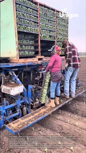 Digging a trench with an excavator: efficient construction