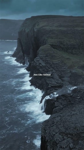 Animals x Starboy - Slowed | Trending #shorts