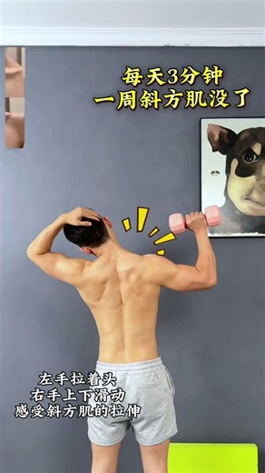Shrink Your Trapezius in 100 Days: The Ultimate Workout Guide