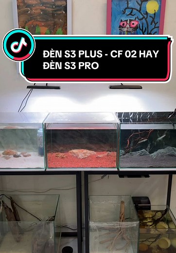 So sánh Đèn S3 Plus, CF02 và S3 Pro cho Bể Cá