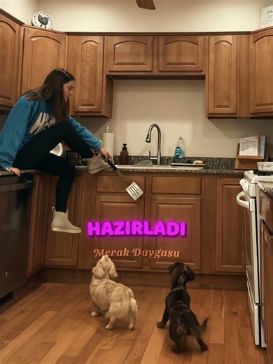 Köpeklerin Bulduğu Şey Neydi❓👀