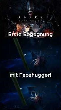 First encounter with a facehugger! 🫣🤣 #alienrogueincursion #facehugger #disgusting #crazy #german