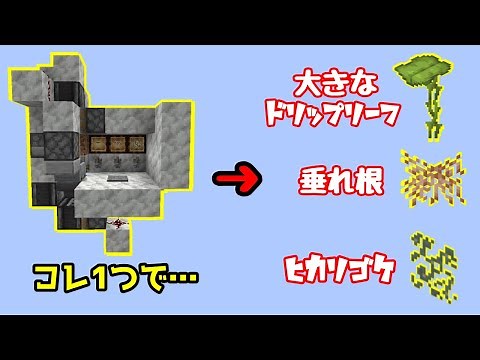 【マイクラ1.17（snapshot21w11a）】これ１つでOK！大きなドリップリーフ・垂れ根・ヒカリゴケの半自動製造機【Java Edition便利装置】