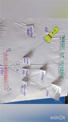 #reflection #light #reflectionoflight #projectbasedlearning