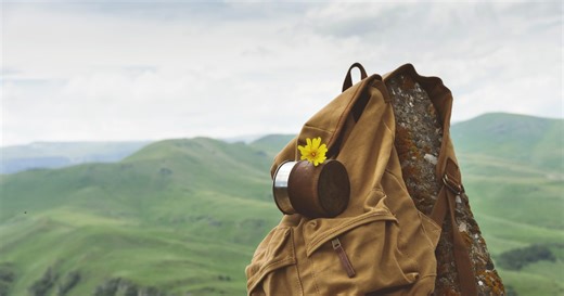 Najpiękniejsze filmy przyrodnicze. Netflix i nie tylko