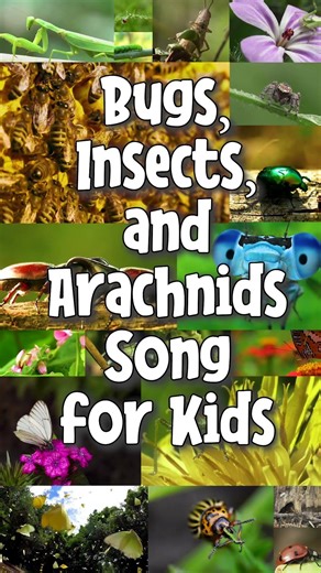 Introduction to Pets Song for Kids | Learn 23 Pet Animals | Busy Body Babies' Fun Rhyme Sing-Along