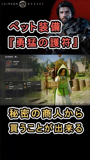 【Crimson Desert 紅の砂漠】ペット装備 『勇猛の護符』 の入手方法について紹介 #紅の砂漠 #CrimsonDesert #紅の砂漠攻略 #アクションRPG