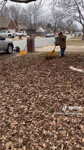 Windy Day Leaf Cleanup: Pro Tips & Techniques