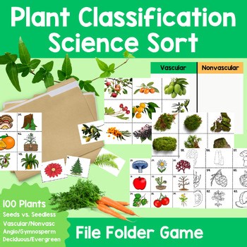 Plant Classification MEGA Sort S5L1b Georgia Science 5th Vascular/Nonvascular