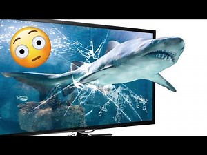 Vídeos que se SALEN de tu PANTALLA (3D)