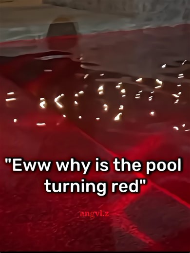 The Atlantis Experience: A Deep Dive