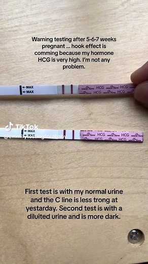Understanding the Hook Effect in Pregnancy Testing: What You Need to Know