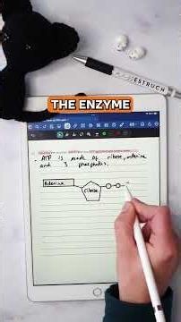 ATP comes up EVERYWHERE in A-level biology! #alevelbiology #alevelstudent #alevels2026 #biologyexam