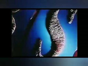 TBS intermissions (1996)