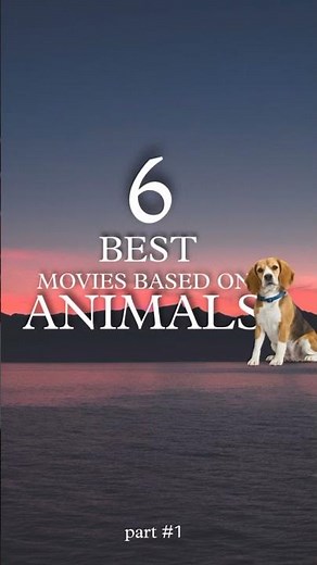 6 Movies based on animals#animals #animalmovie #pets