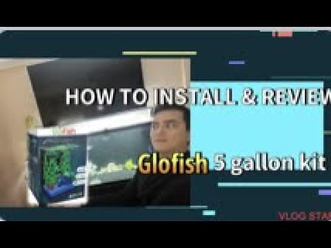 GloFish Aquarium Kit 5 Gallons REVIEW AND INSTALL!
